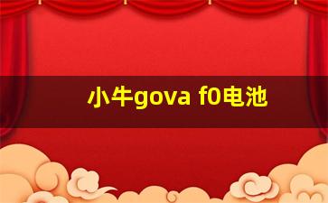 小牛gova f0电池